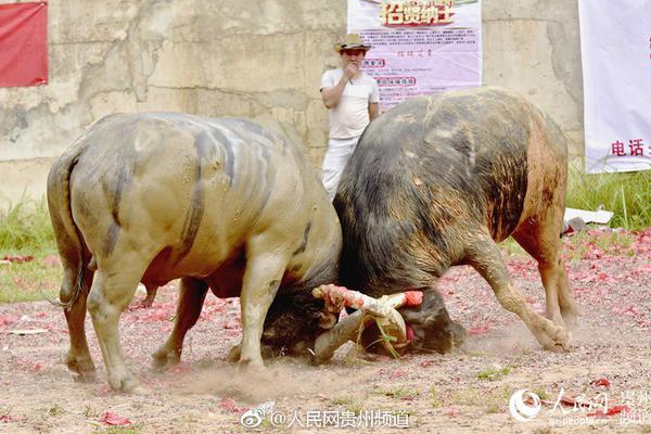 赛博朋克2077四季宝手枪怎么获得