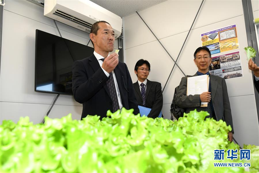 失落迷城群星的诅咒有什么特色内容