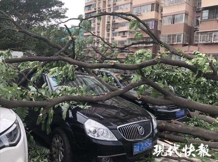 无主之地3秘藏卡片是什么
